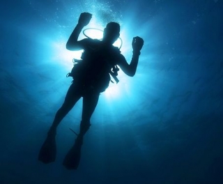  diver photo 